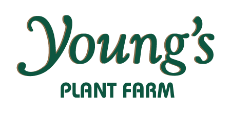 TG_Agriculture_YoungsPlantFarm Young's Plant Farm Logo.