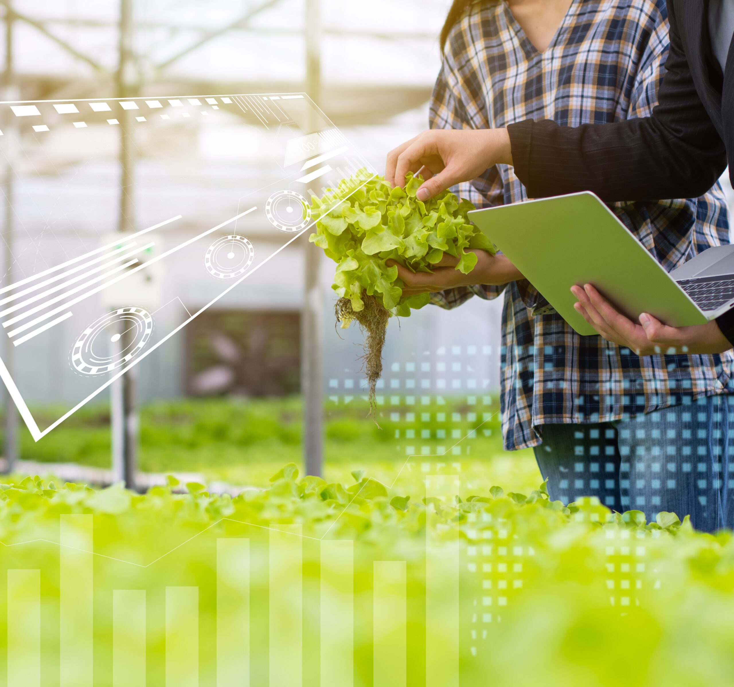 Hydroponic farm with technology, researcher, agricultural expert introduce owner farmer checking good balance of water and oxygen as temperature, lights, pH level, humidity, system of growing plant.