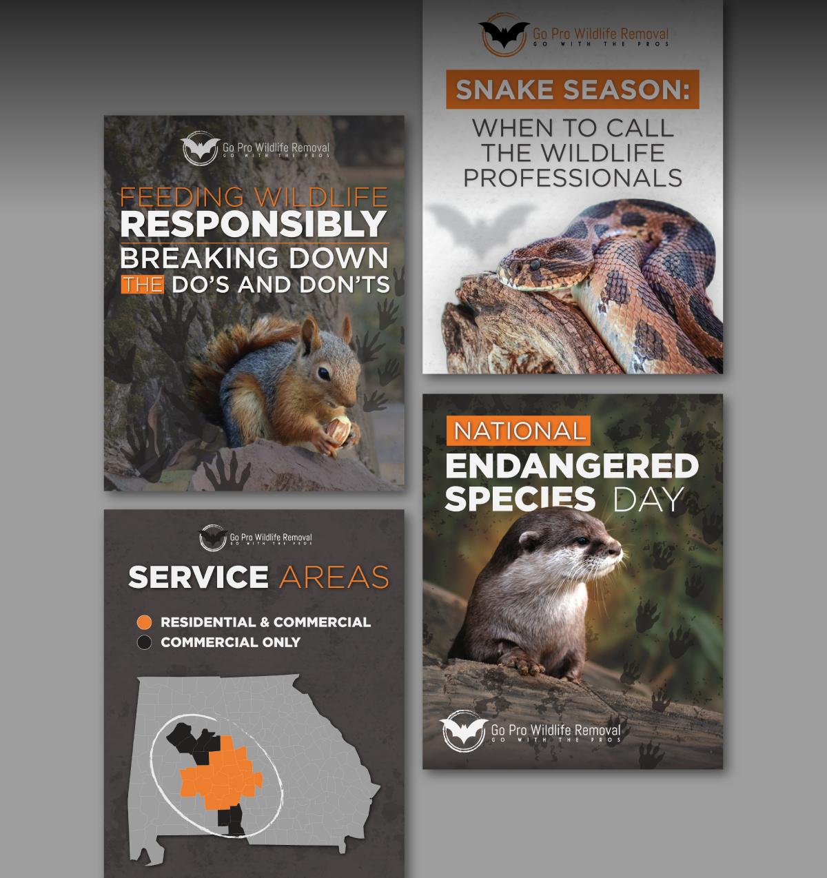Go Pro Wildlife Removal Instagram graphics.